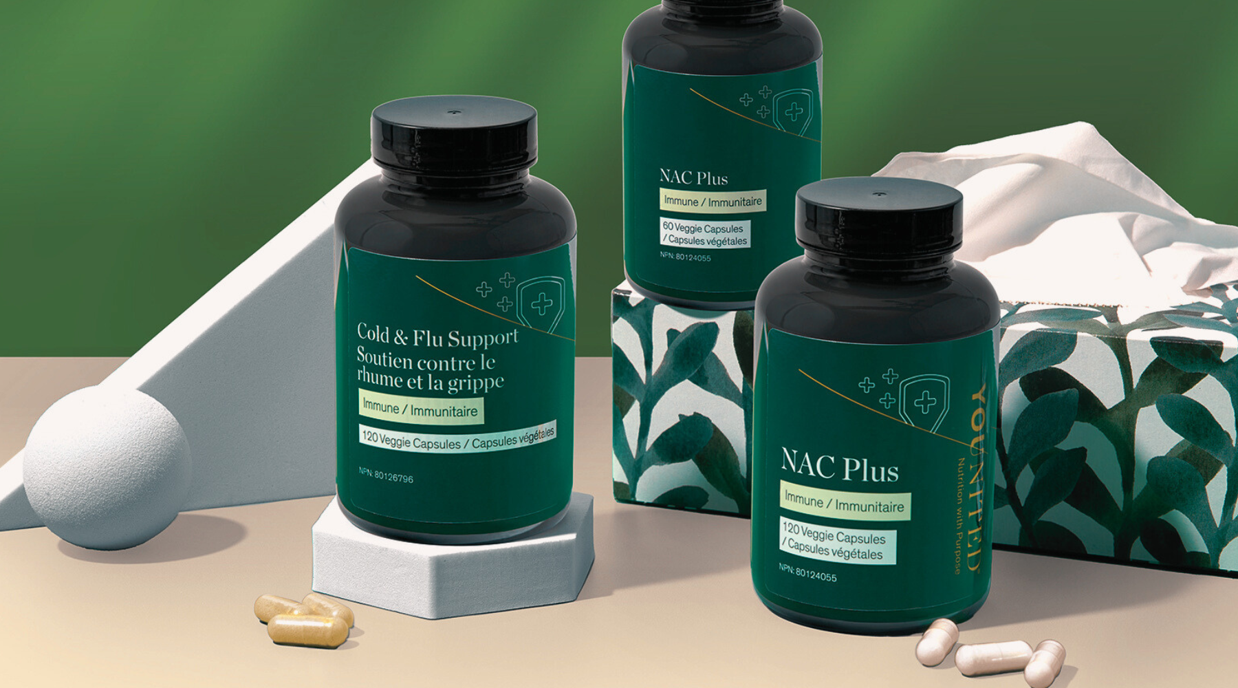 IMMUNE SUPPORT